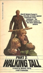 Локальне зображення обкладинки