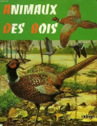 Локальне зображення обкладинки