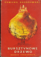 Локальне зображення обкладинки